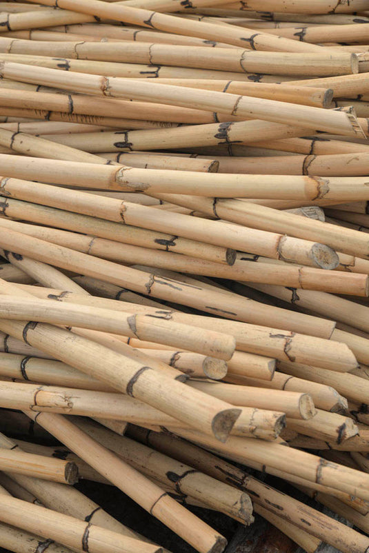 rattan